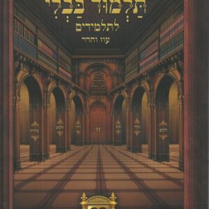 גמרא פרק השואל - גמרא דקה / עוז והדר / מנויילן