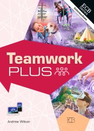 טימוורק פלוס Teamwork plus ספר
